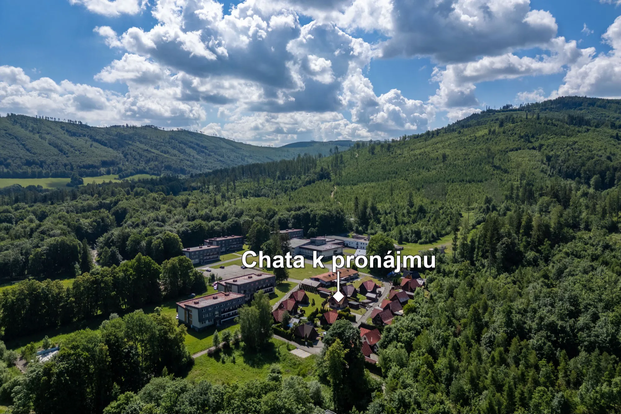 Lesy Jeseníků kolem chaty